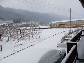 알 수 없음님의 자유주제 · 자유게시판 작성글 사진