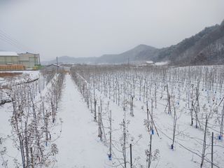 알 수 없음님의 자유주제 · 자유게시판 작성글 사진