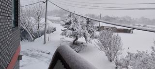 낙엽교목류15665님의 자유주제 · 자유게시판 작성글 사진