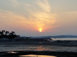 식물실험도전님의 여행을 간다면 어디로 가고 싶으세요? · 참여글 작성글 사진