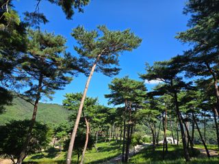 채옥이님의 여행을 간다면 어디로 가고 싶으세요? · 참여글 작성글 사진