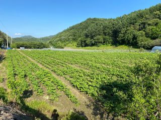 박동주님의 자유주제 · 자유게시판 작성글 사진