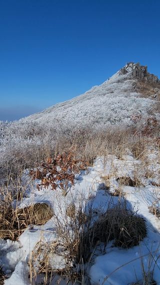 용수리또리농장님의 여행을 간다면 어디로 가고 싶으세요? · 참여글 작성글 사진