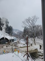 팜모닝 여행을 간다면 어디로 가고 싶으세요?·참여글 게시글 이미지