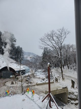 귀촌인정찬영님의 여행을 간다면 어디로 가고 싶으세요? · 참여글 작성글 사진