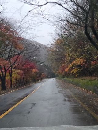 채옥이님의 여행을 간다면 어디로 가고 싶으세요? · 참여글 작성글 사진