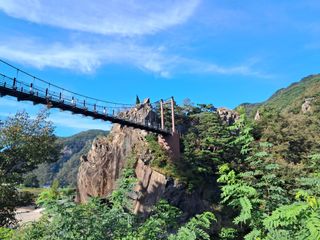 김용수님의 여행을 간다면 어디로 가고 싶으세요? · 참여글 작성글 사진