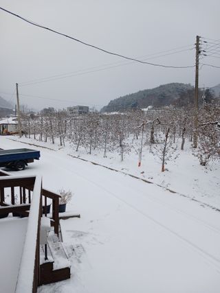 알 수 없음님의 자유주제 · 자유게시판 작성글 사진