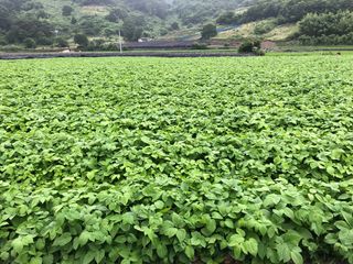 박동주님의 자유주제 · 자유게시판 작성글 사진