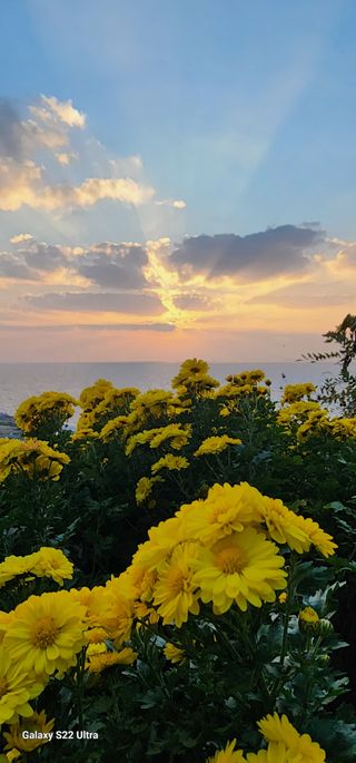 성창준님의 여행을 간다면 어디로 가고 싶으세요? · 참여글 작성글 사진