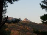 팜모닝 여행을 간다면 어디로 가고 싶으세요?·참여글 게시글 이미지