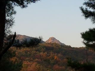 퍼피과수원님의 여행을 간다면 어디로 가고 싶으세요? · 참여글 작성글 사진
