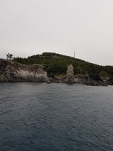 팜모닝 여행을 간다면 어디로 가고 싶으세요?·참여글 게시글 이미지