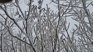 병찬님의 여행을 간다면 어디로 가고 싶으세요? · 참여글 작성글 사진