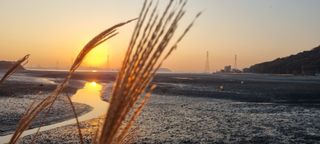 김순호님의 여행을 간다면 어디로 가고 싶으세요? · 참여글 작성글 사진