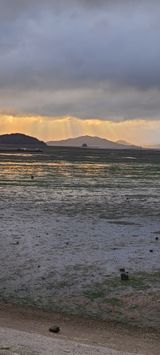 팜모닝 여행을 간다면 어디로 가고 싶으세요?·참여글 게시글 이미지