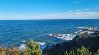 오학봉(멀티팜)님의 여행을 간다면 어디로 가고 싶으세요? · 참여글 작성글 사진