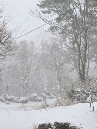 채옥이님의 여행을 간다면 어디로 가고 싶으세요? · 참여글 작성글 사진
