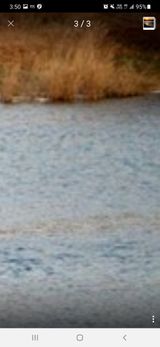 팜모닝 여행을 간다면 어디로 가고 싶으세요?·참여글 게시글 이미지