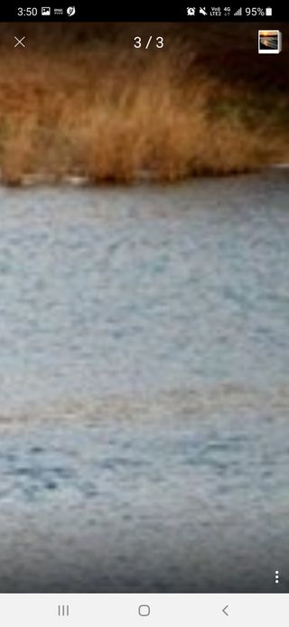 강물처럼님의 여행을 간다면 어디로 가고 싶으세요? · 참여글 작성글 사진