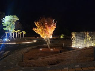 이상윤 님의 여행을 간다면 어디로 가고 싶으세요? · 참여글 작성글 사진