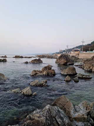 식물실험도전님의 여행을 간다면 어디로 가고 싶으세요? · 참여글 작성글 사진