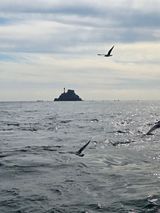 팜모닝 여행을 간다면 어디로 가고 싶으세요?·참여글 게시글 이미지