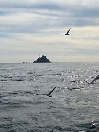 우성호님의 여행을 간다면 어디로 가고 싶으세요? · 참여글 작성글 사진