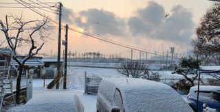 하은와송~♡♡♡~님의 자유주제 · 자유게시판 작성글 사진