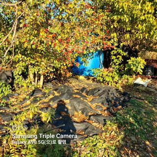 덕운 황홍주님의 기타작물 · 자유게시판 작성글 사진