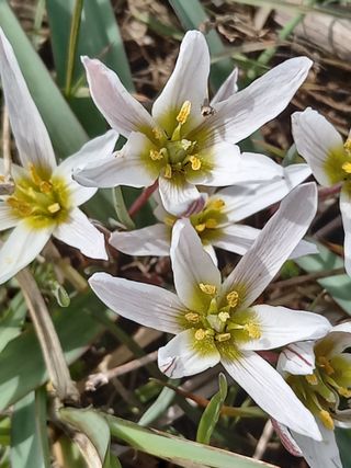 부금리(금강농원)님의 여행을 간다면 어디로 가고 싶으세요? · 참여글 작성글 사진