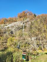 팜모닝 여행을 간다면 어디로 가고 싶으세요?·참여글 게시글 이미지