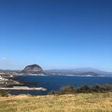 팜모닝 여행을 간다면 어디로 가고 싶으세요?·참여글 게시글 이미지