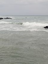 팜모닝 여행을 간다면 어디로 가고 싶으세요?·참여글 게시글 이미지