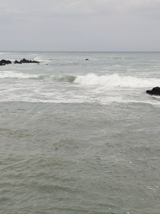 소율이네농장님의 여행을 간다면 어디로 가고 싶으세요? · 참여글 작성글 사진