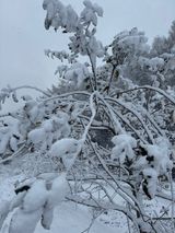 팜모닝 여행을 간다면 어디로 가고 싶으세요?·참여글 게시글 이미지