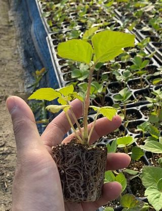 박동주님의 자유주제 · 자유게시판 작성글 사진