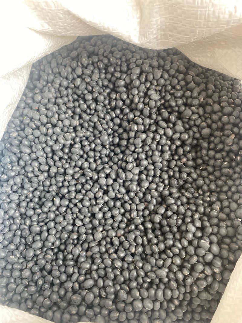 장터 상품 [콩판매 합니다.] 썸네일