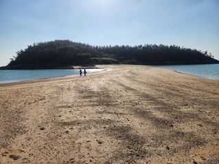 이상윤 님의 여행을 간다면 어디로 가고 싶으세요? · 참여글 작성글 사진