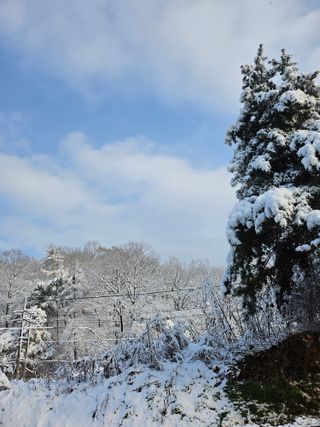 산겨릅나무님의 여행을 간다면 어디로 가고 싶으세요? · 참여글 작성글 사진