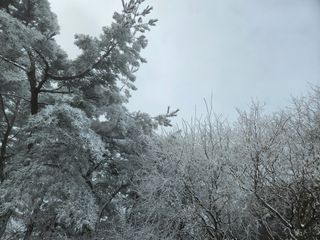 김시현 님의 여행을 간다면 어디로 가고 싶으세요? · 참여글 작성글 사진