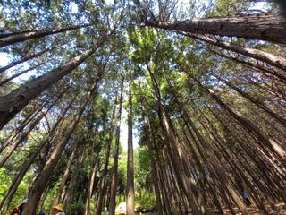 김두리님의 여행을 간다면 어디로 가고 싶으세요? · 참여글 작성글 사진