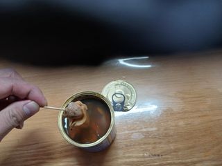 알 수 없음님의 자유주제 · 자유게시판 작성글 사진