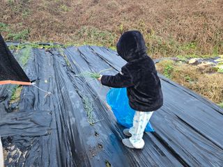 뿡뿡농장님의 자유주제 · 자유게시판 작성글 사진