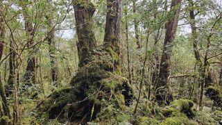 건호님의 여행을 간다면 어디로 가고 싶으세요? · 참여글 작성글 사진