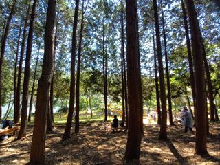 김두리님의 여행을 간다면 어디로 가고 싶으세요? · 참여글 작성글 사진