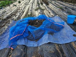 뿡뿡농장님의 자유주제 · 자유게시판 작성글 사진