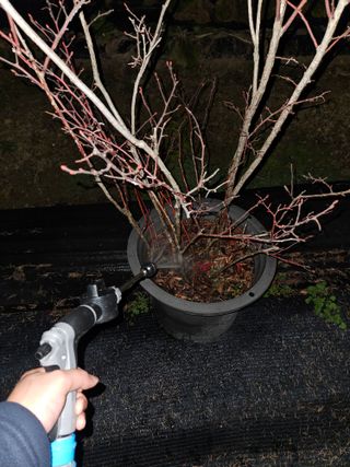 뿡뿡농장님의 자유주제 · 자유게시판 작성글 사진