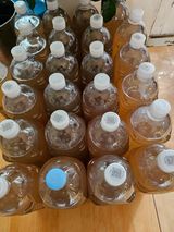 팜모닝 자유주제·자유게시판 게시글 이미지