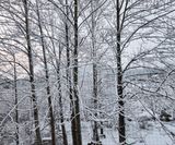 팜모닝 여행을 간다면 어디로 가고 싶으세요?·참여글 게시글 이미지